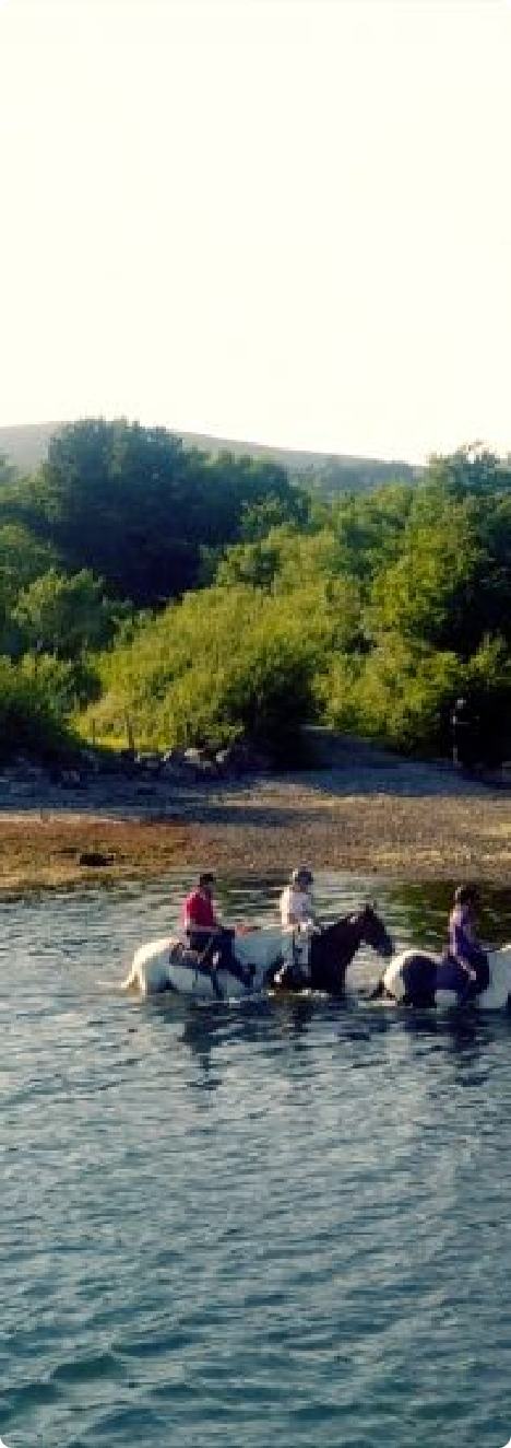 Domquinna-Stables-5-550x550